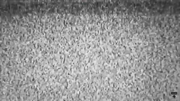 Заказ Авто из Японии c Imperial Auto. Что для этого нужно? Обзор автомобилей клиентов. #автоизяпони