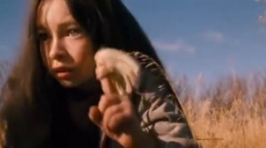 Страна приливов.2005