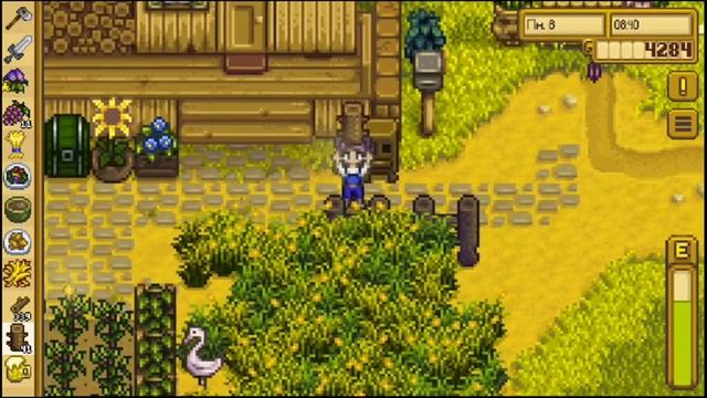 • Гайд • Stardew Valley • Быстрый зароботок в начале игры • Контрабанда с Кэролайн • ^•^ смотреть онлайн