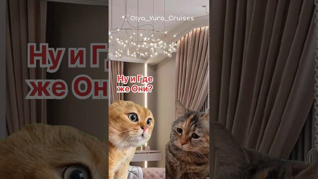 Постоянно не хватает Денег💶? Присоединяйся к нам и получай зарплату из 5 ‼️ ИСТОЧНИКОВ ДОХОДА! смотреть онлайн
