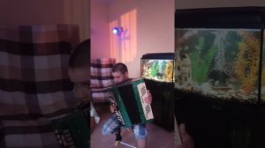 Старинная французская на баяне