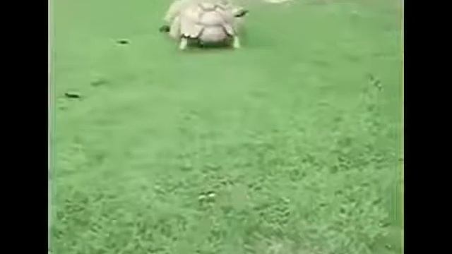 Музыка друг смотреть онлайн