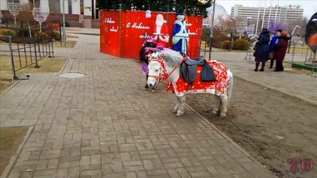 НОВОГОДНИЕ ПРОГУЛКИ ПО АСТРАХАНИ 2017 год. АСТРАХАНЬ НОВОГОДНЯЯ смотреть онлайн