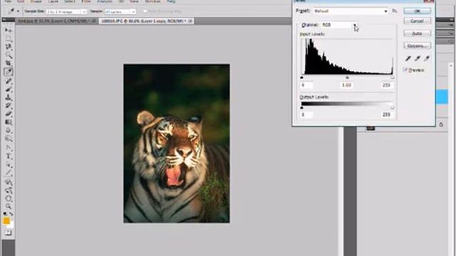 Photoshop Training 10/19 Levels RGB channels. Adobe Photoshop beginners course смотреть онлайн