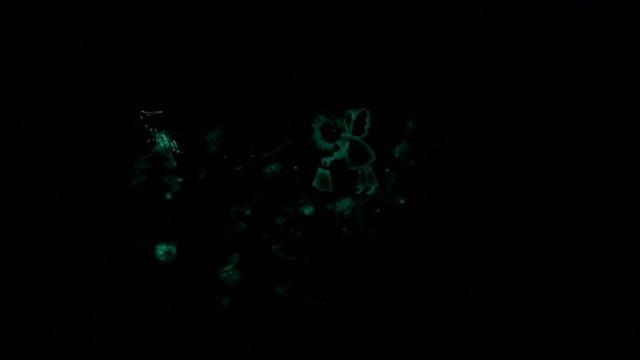 Живопись светом Воронеж 228-5-111 смотреть онлайн
