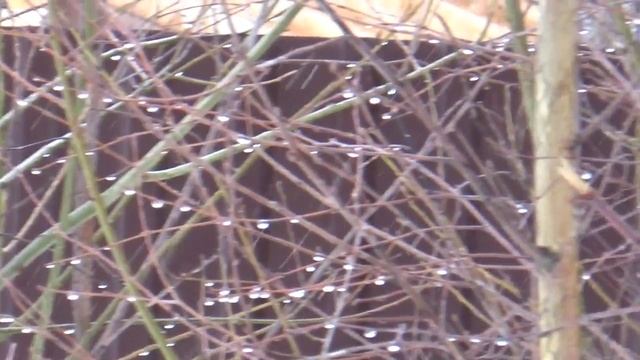 Завтра весна. смотреть онлайн