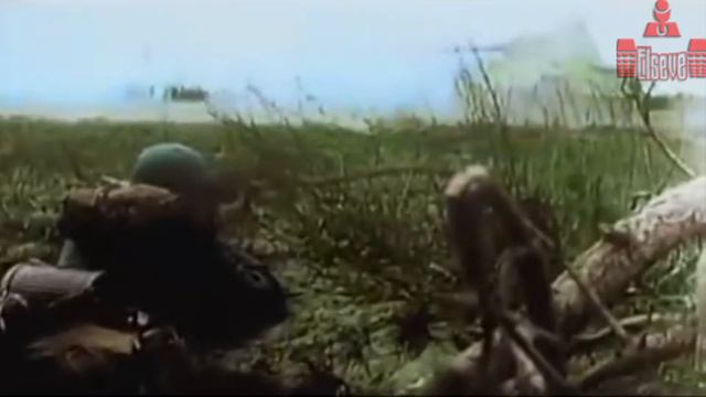 Клип "Дурной олень" смотреть онлайн