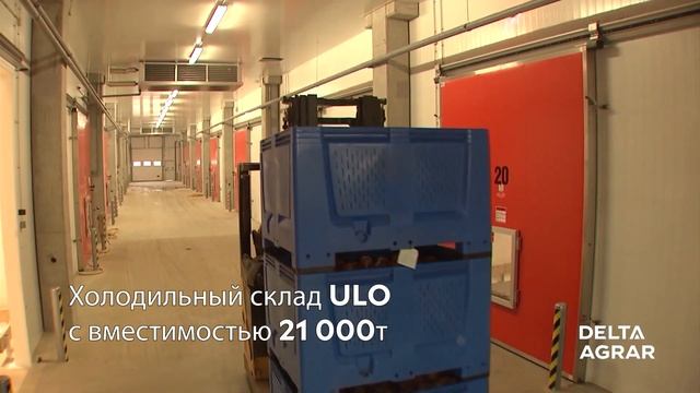 DELTA AGRAR - Яблочный сад Челарево смотреть онлайн