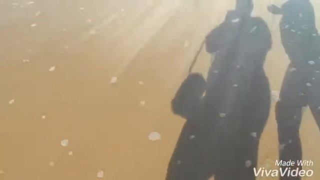 #31. Наш отдых в ОАЭ / Персидский залив / Охотники за ракушками