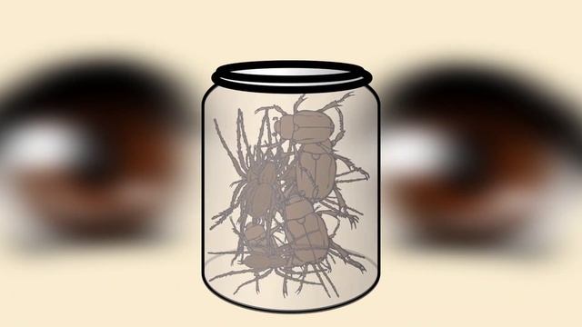 Сколько жуков и пауков в банке? Загадка про маленького садиста! смотреть онлайн