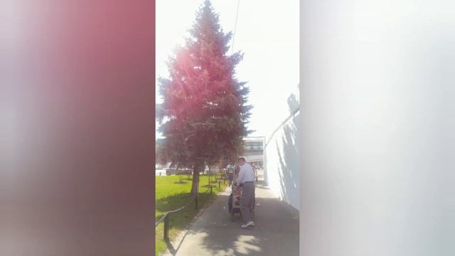 India To Russia | Delhi To Moscow | Honeymoon In Russia | Aeroflot Airlines | Azimut | Russia Vlog