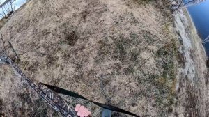 ОХОТА НА ГУСЯ В СКАЛИСТЫХ ТУНДРАХ