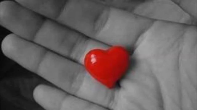 Ruben Gomes смотреть онлайн