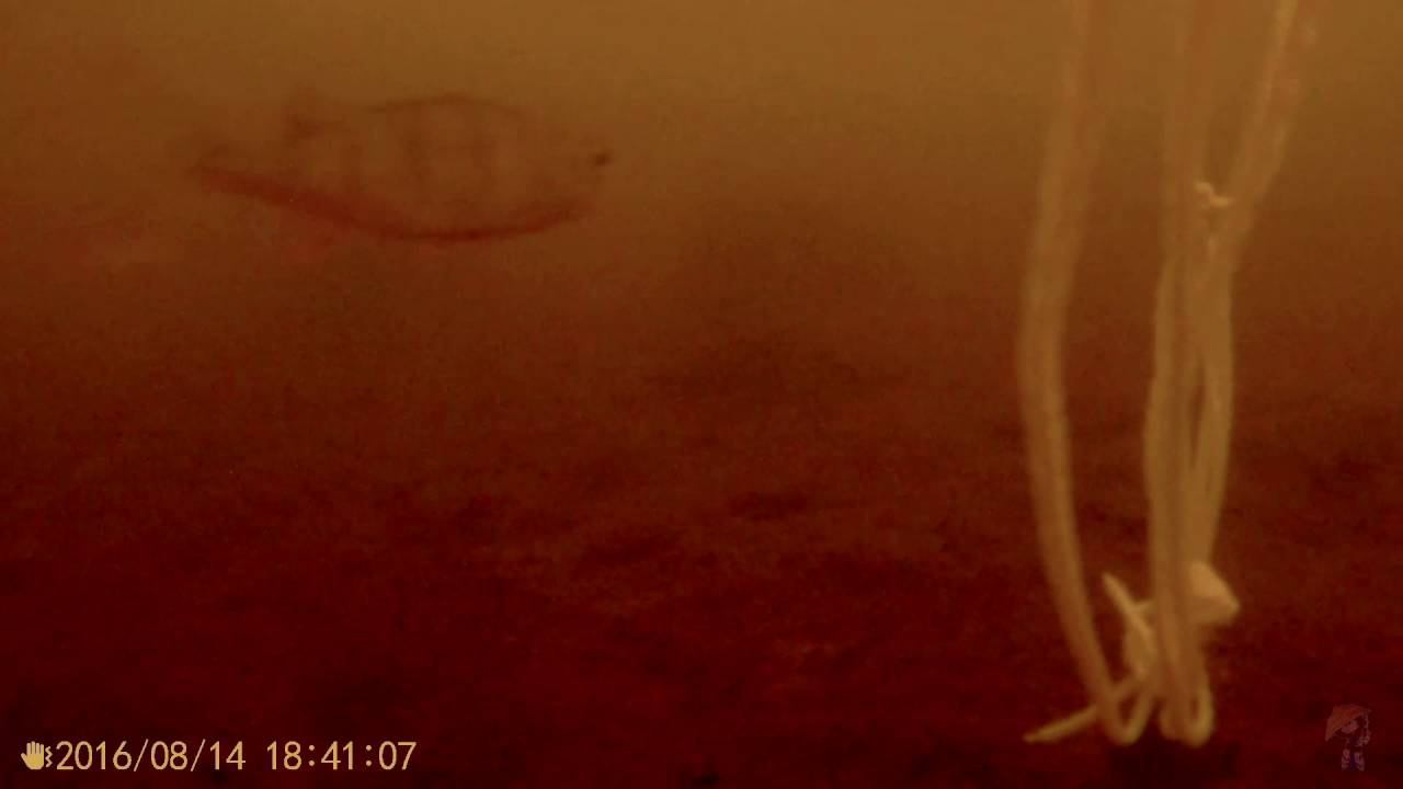 SJCAM M20 first dive смотреть онлайн