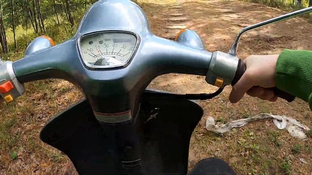 Honda Giorno. На скутере по лесу. смотреть онлайн