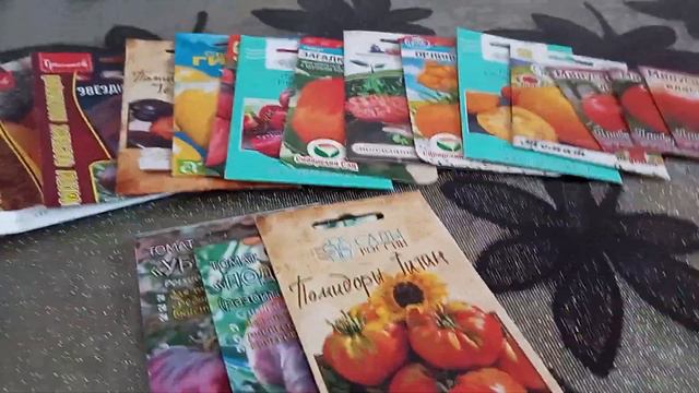 Томаты в моём огороде на 2024 год ( 1 часть)