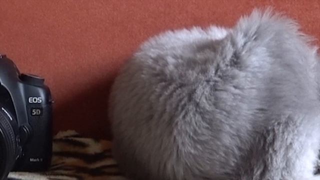 Sony fdr-x3000r Сравнение качества видео - Compramission of quality of video (4k, XAVC, MP4) part 5 смотреть онлайн