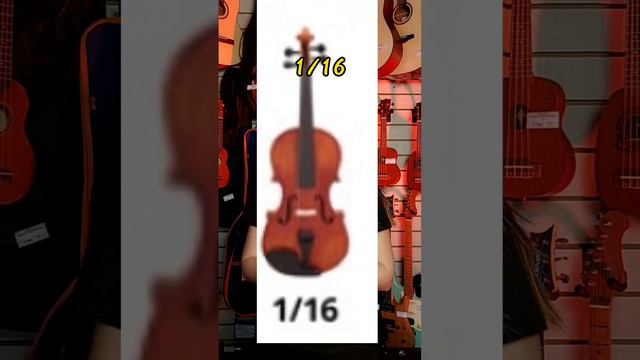 Как выбрать скрипку новичку? | MAJOR MUSIC #музыкальныймагазин #majormusic #скрипка смотреть онлайн