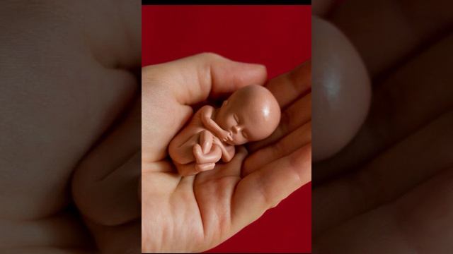 Аборт - Мудрая притча, учение слушать онлайн.mp4 смотреть онлайн