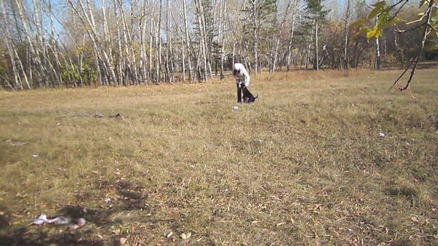 Тренировка хватки смотреть онлайн