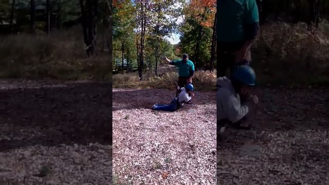 Stacy flying squirrel смотреть онлайн