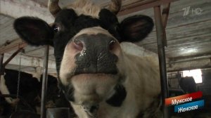 Скот, да не тот. Мужское / Женское. Выпуск от 27.03.2019