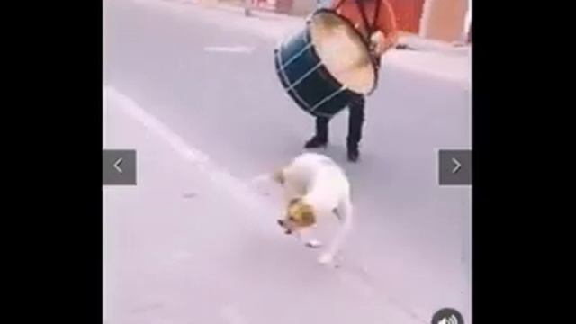 Bongo Mix Breakin Beat (Monkey Ru) 90 Stilo смотреть онлайн