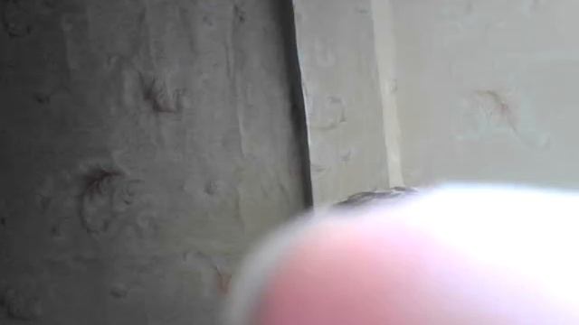 Нубский Стрим делаем дома из "спичек" (замок) смотреть онлайн