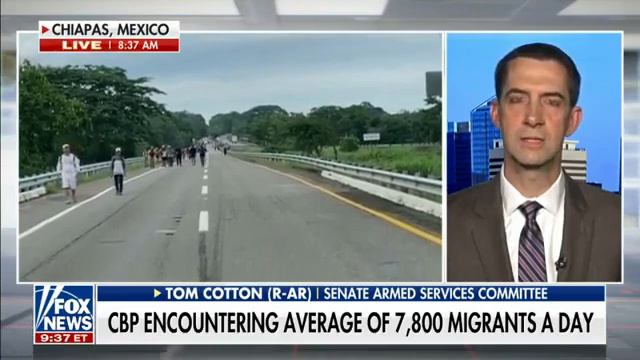 June 9, 2022: Tom Cotton Joins America's Newsroom смотреть онлайн