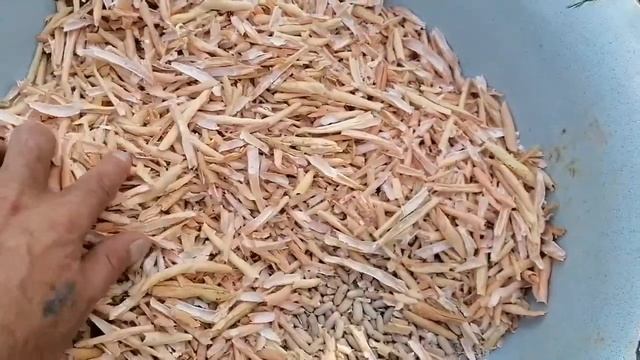 Как быстро почистить фасоль! смотреть онлайн