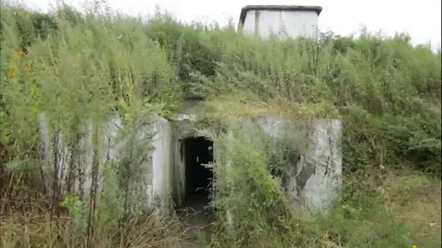 Пристань 2011.wmv смотреть онлайн