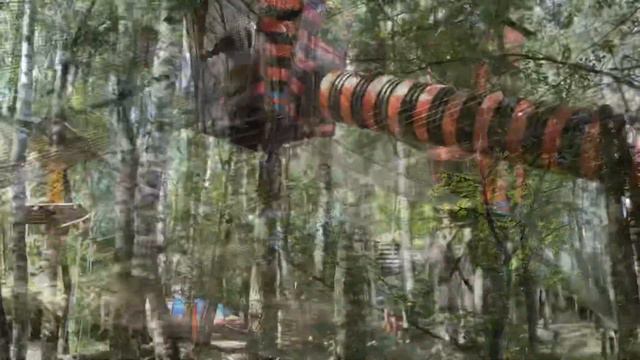 Парк белки и мои антистресс смотреть онлайн