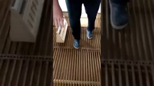 Новая голубятня своими руками от http://pigeon-home.ru/  PIGEON LOFT.