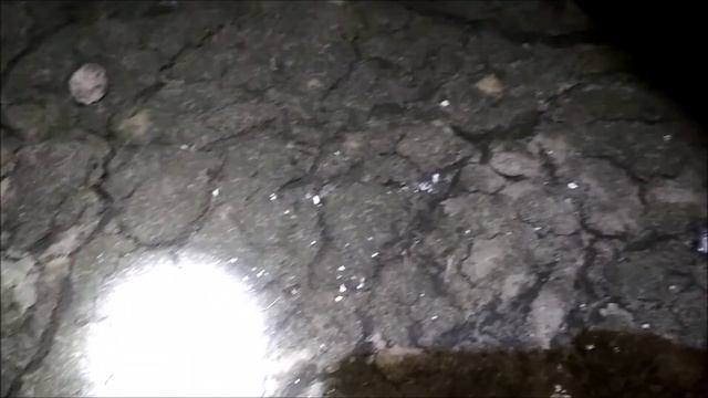 XP DEUS С БЛОНДИНКОЙ ПЕРВЫЙ ВЫХОД Xp Deus Coil Hf