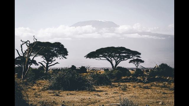 Savannah Sounds to meditate, sleep easier - Nature sounds - One Hour смотреть онлайн