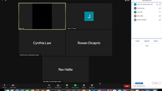Pretend / Fake Zoom Meeting Work Screen ( Mac ) смотреть онлайн