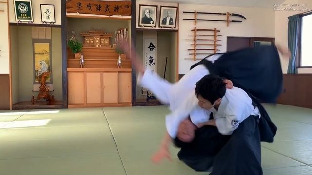 Aikido Dynamic, Smooth And Sharp - Shirakawa Ryuji Shihan