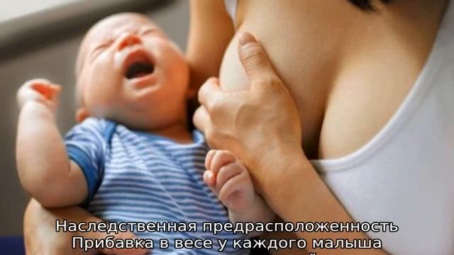 Ребенок плохо набирает вес на грудном вскармливании смотреть онлайн