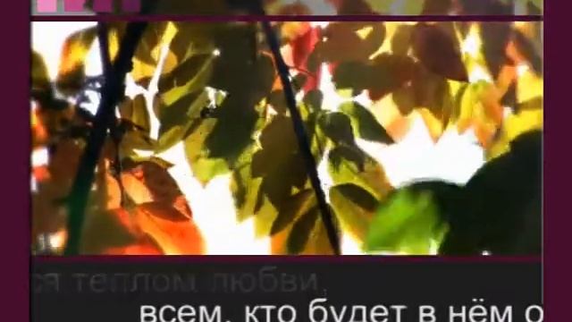 Дом, где мы вырастаем ФОНОГРАММА смотреть онлайн