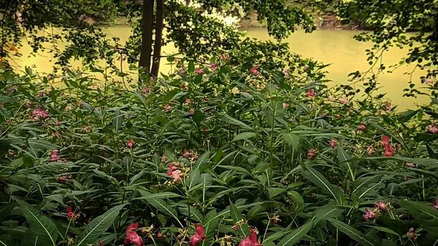 ощущение Рая.mp4 смотреть онлайн