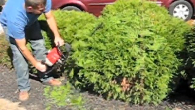 Hedge Trimmer Blades In Action (Prune Pro) смотреть онлайн
