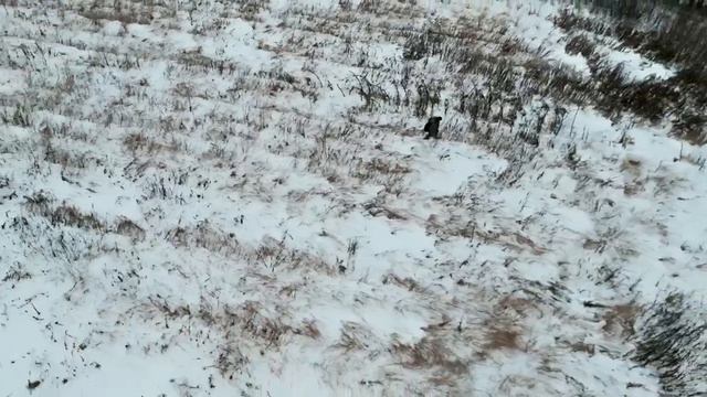 Красное Дерево - Дроны смотреть онлайн