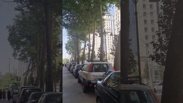 #душанбе #tajikistan /прогулка#best #video #follow смотреть онлайн
