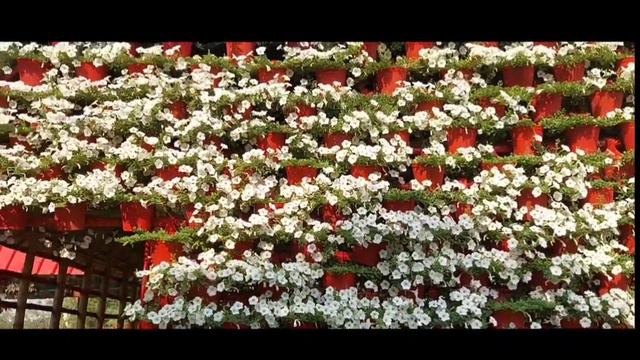 a memorable day in ঠিকানা смотреть онлайн