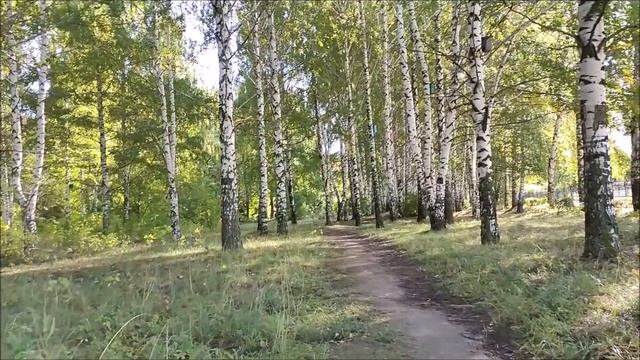 Крылья ангела для мамы. История радости смотреть онлайн