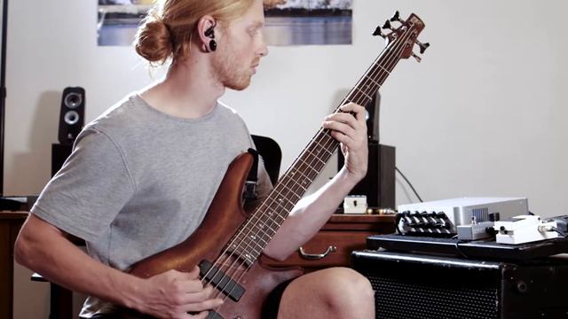 Star Blind - As Paradise Falls Bass Playthrough смотреть онлайн