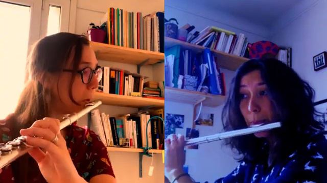 W.F. Bach - Duo en Sol Majeur pour flûtes : Allegro ma non troppo смотреть онлайн