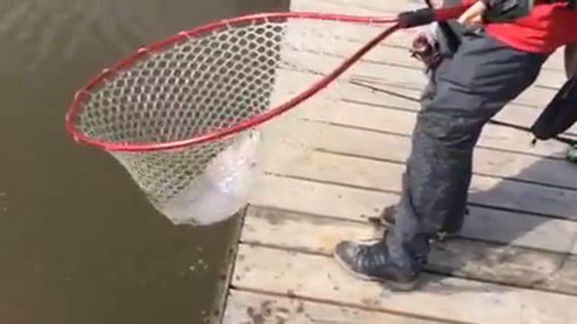 FISHERIX смотреть онлайн