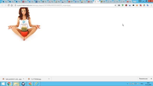 Волосы на лобке Надо ли их брить Часть 2 с 2 смотреть онлайн