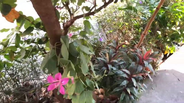 Holiday chill Bangkok смотреть онлайн
